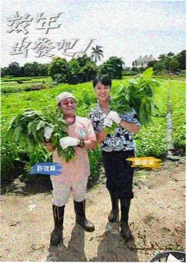在线观看免费大片 奔跑吧